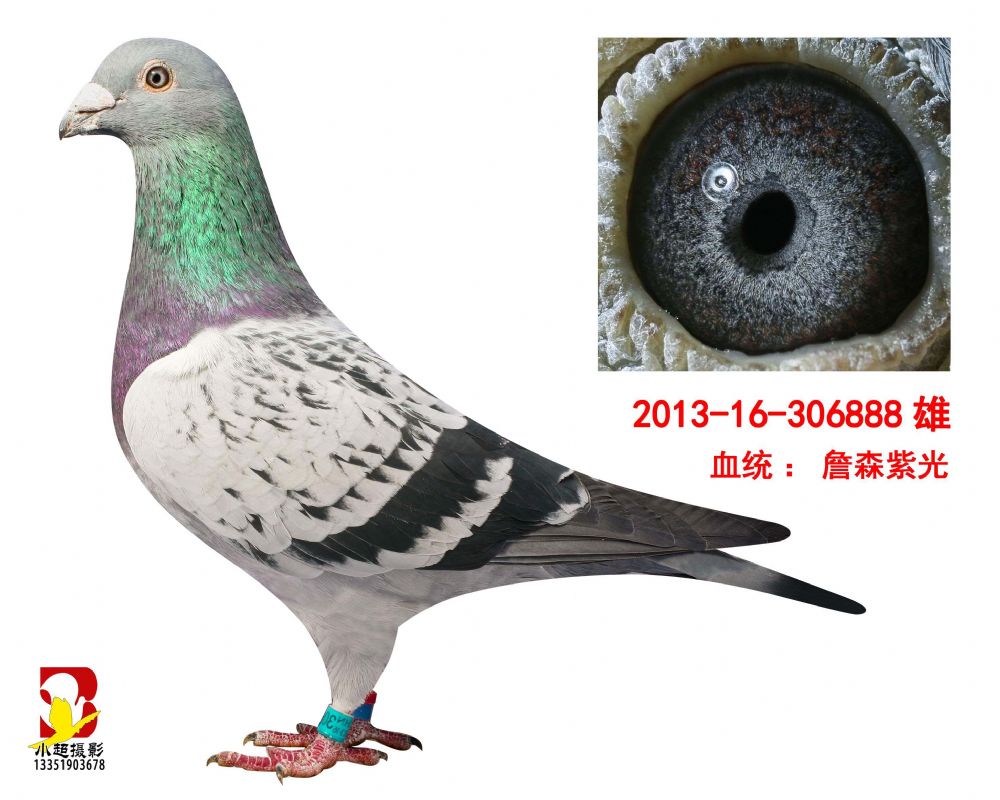 “紫光系”王慧轩辞任诚泰财险董事长 三月前刚告别幸福人寿