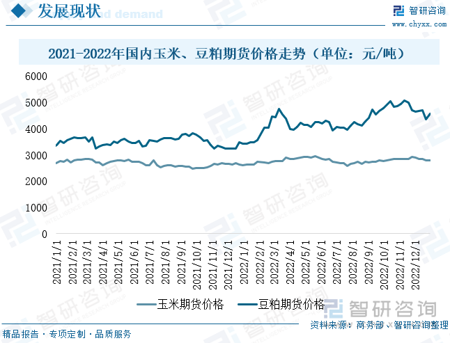 （2024年11月22日）今日玉米期货和美玉米最新价格查询