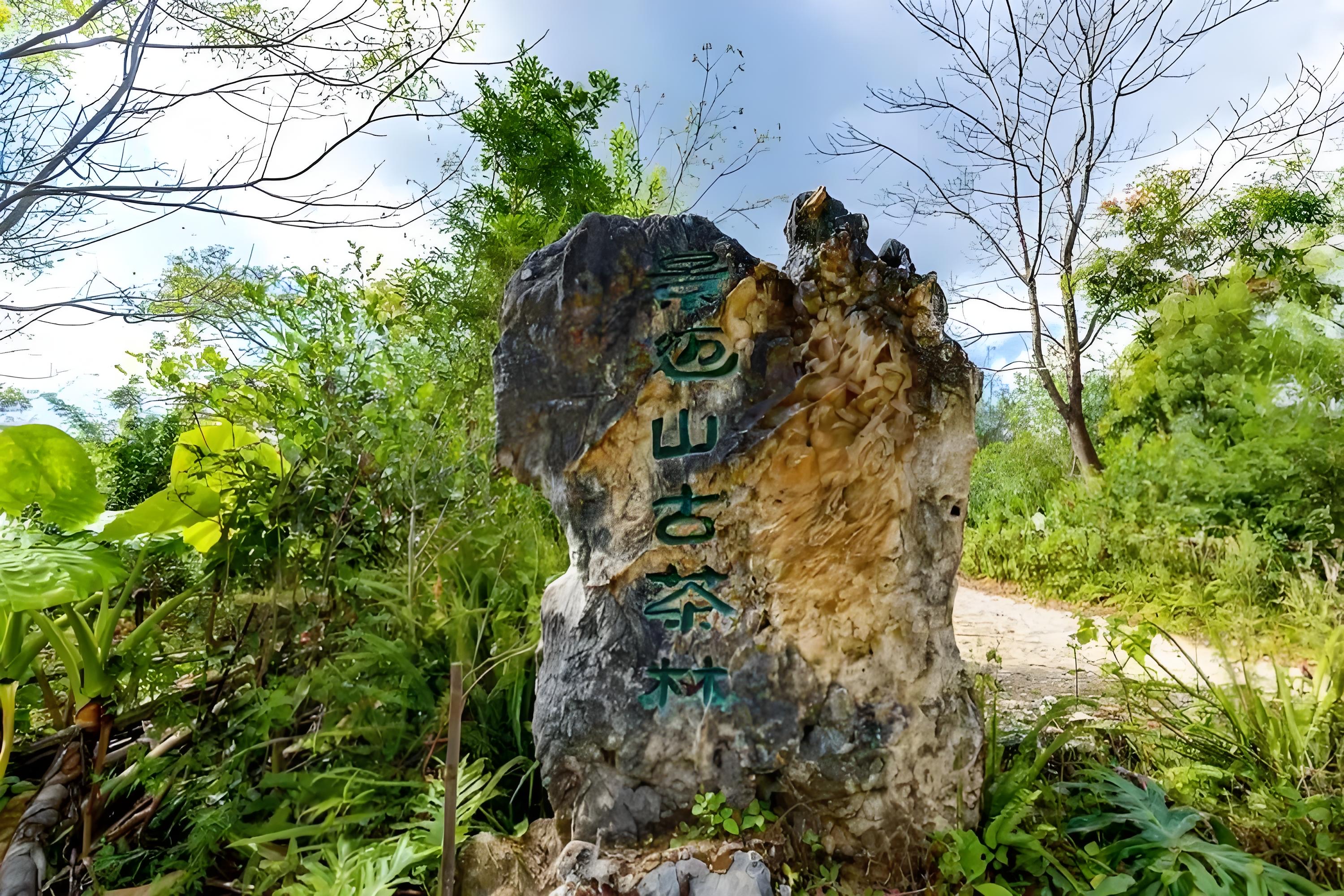 澜沧古茶业绩“翻车”：2024年收入锐减，线下门店受挫，线上表现不及预期