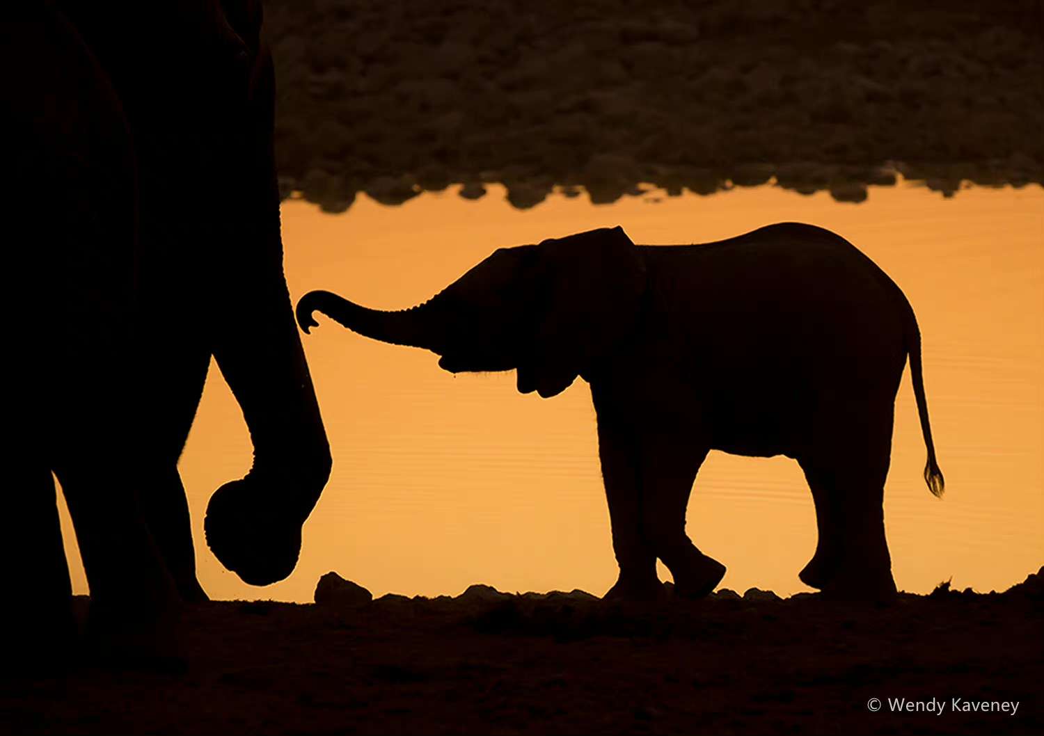 气候投资基金为赞比西河流域地区提供1.43亿美元资金