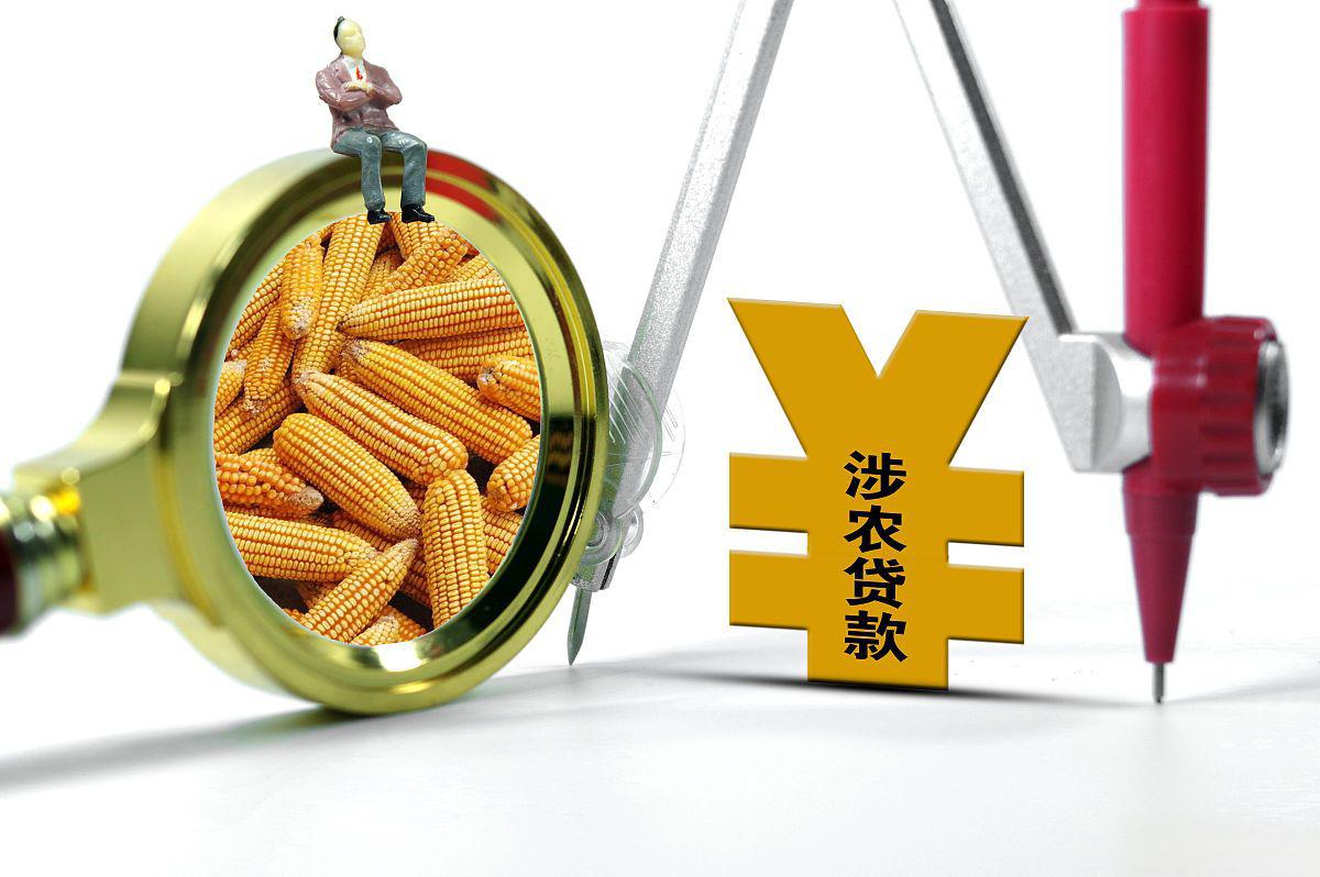 玉米供应压力逐步减轻 价格继续下跌空间有限