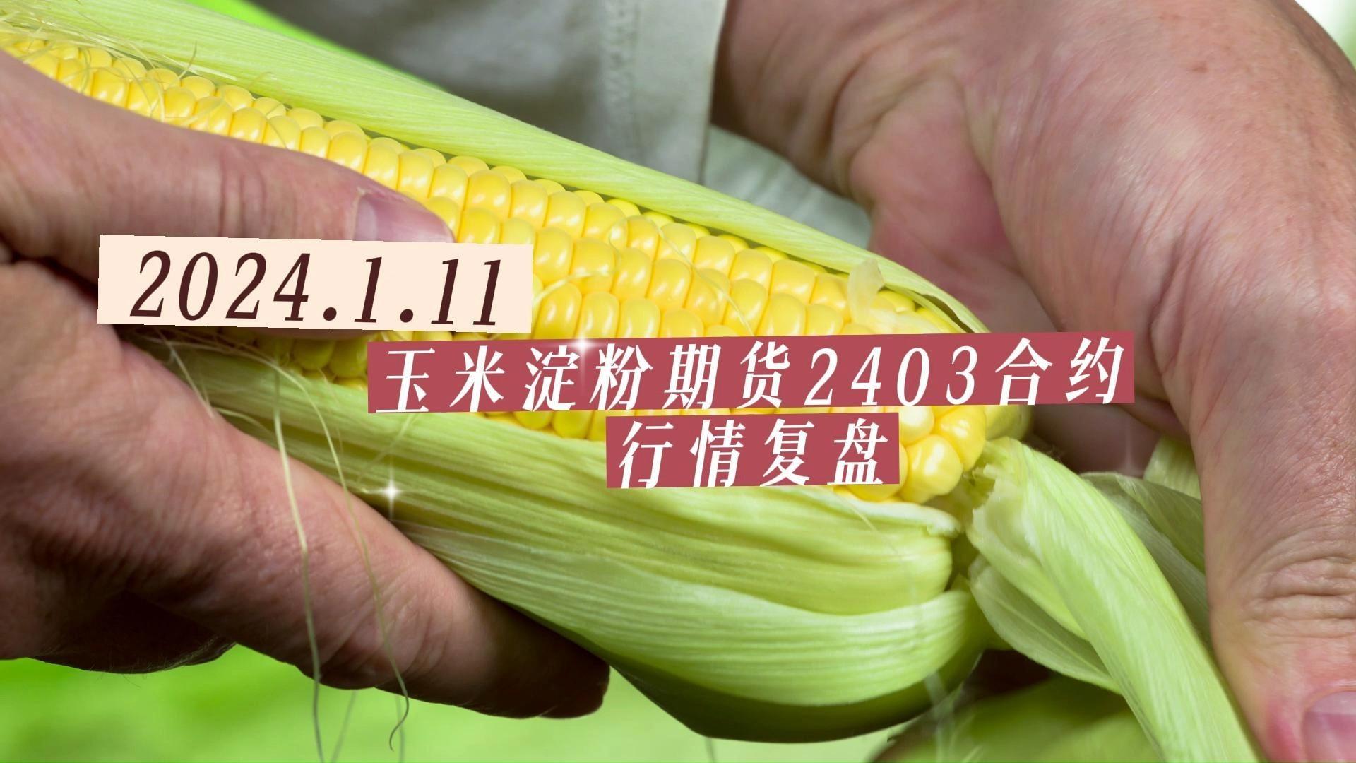 3月28日收盘玉米期货资金流出1190.64万元