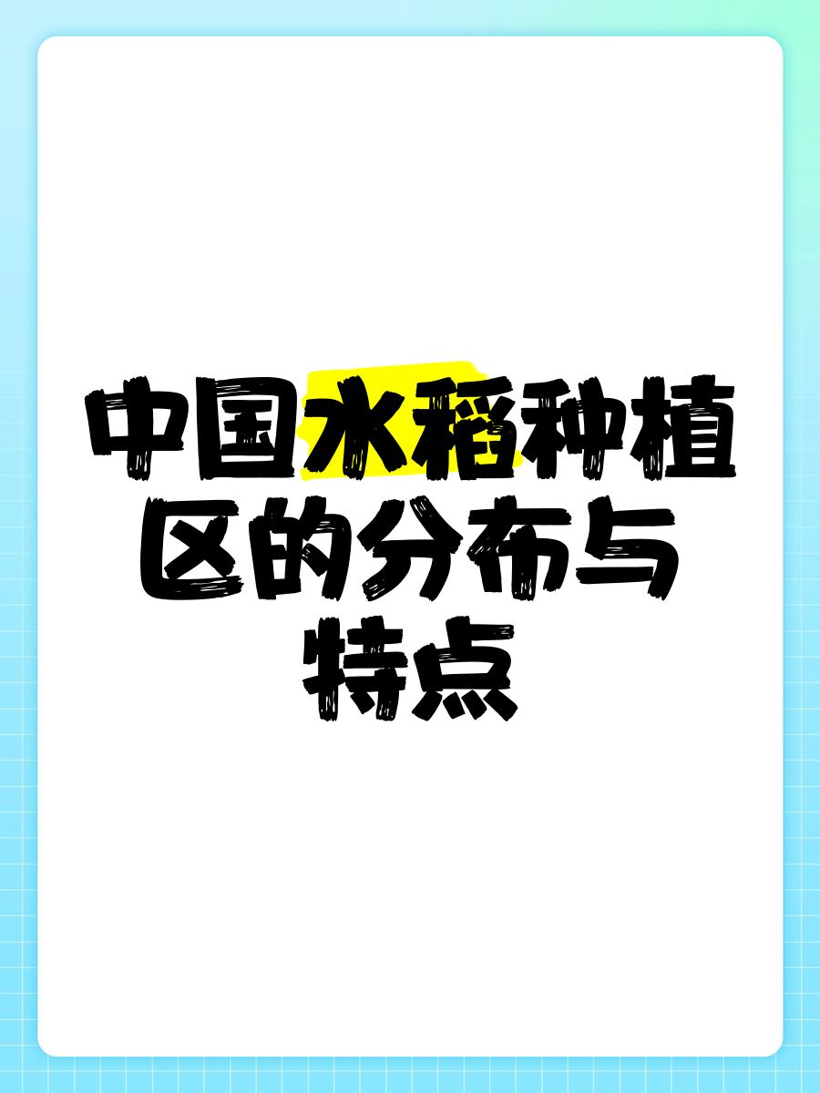 转载-中国水稻种植技术助力冈比亚农业发展