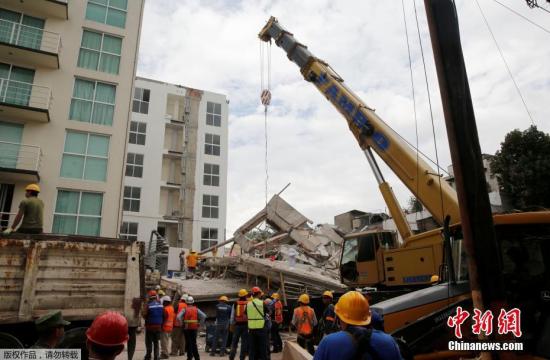 多米尼克经济商务机构