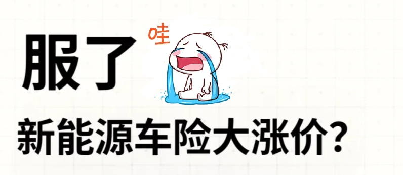 新能源车险惊现“反向涨价”？有新车降价10万元，车险反倒涨价千元