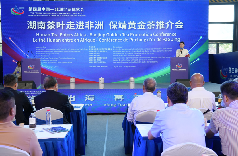 第四届中国―非洲经贸博览会在长沙举行