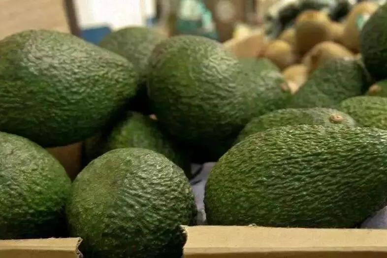 Meta真要放弃开源？最新爆料：“牛油果”大模型推迟至2026年