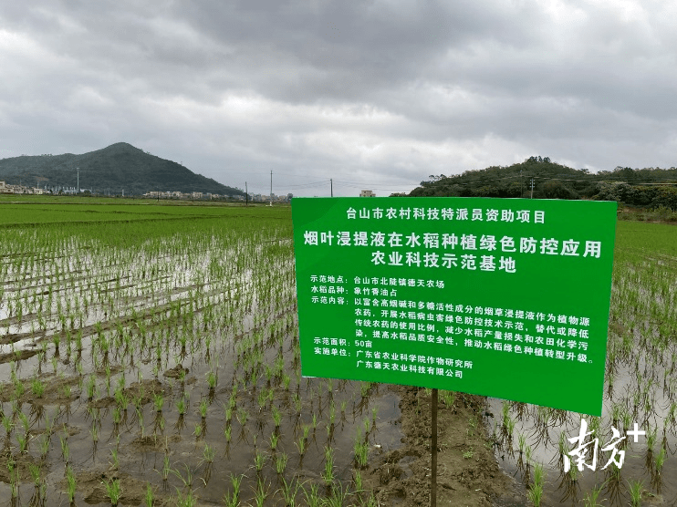 科技让种植规模挣脱人力束缚(念念有余)