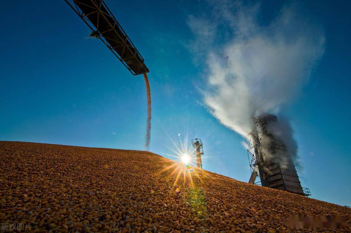 新凤鸣股东户数环比下降8.20% 今日大涨3.63%