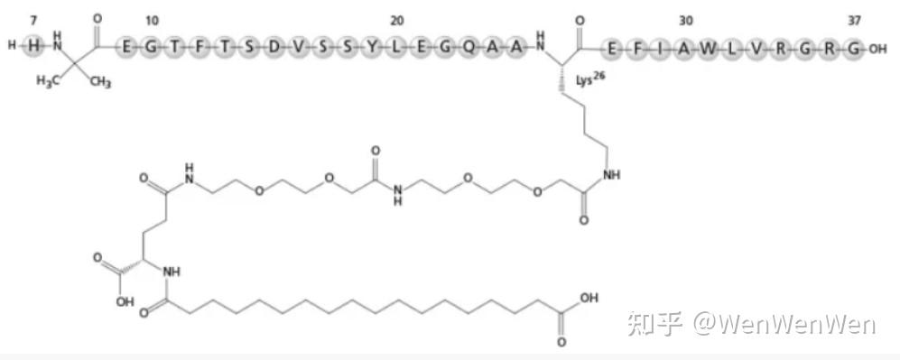 口服版“减肥神药”获批 分析师：或加速食品行业产品变革