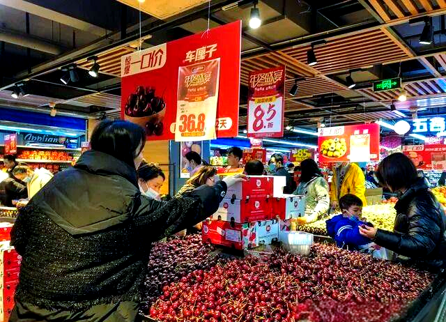 智利樱桃产业努力创新满足中国市场需求