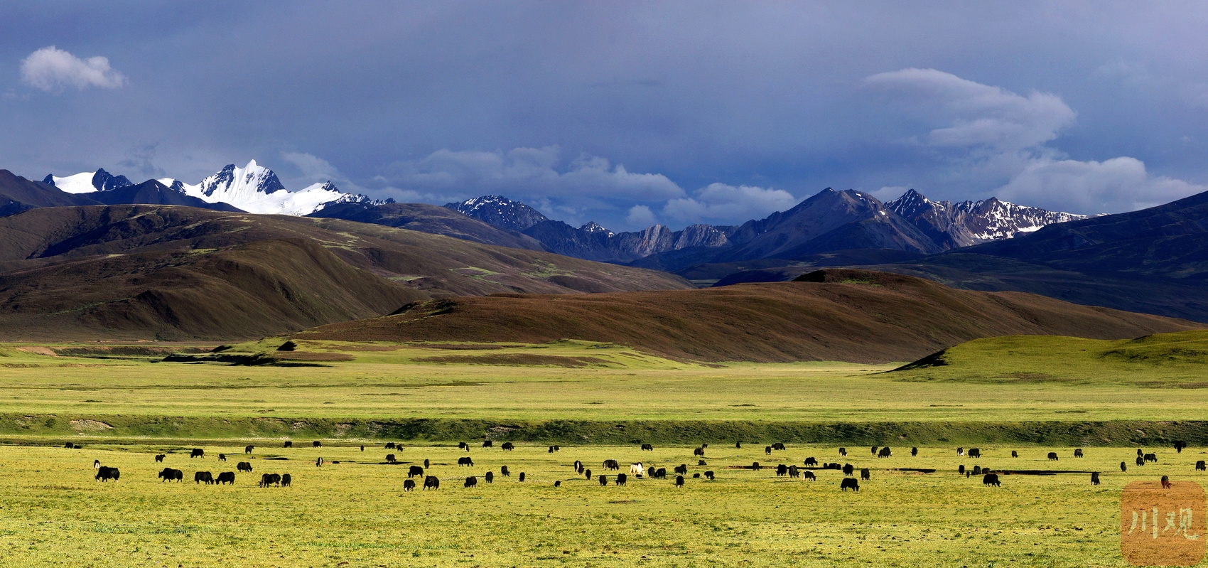 中国援助毛里塔尼亚畜牧业技术示范项目荣获全球最佳减贫案例