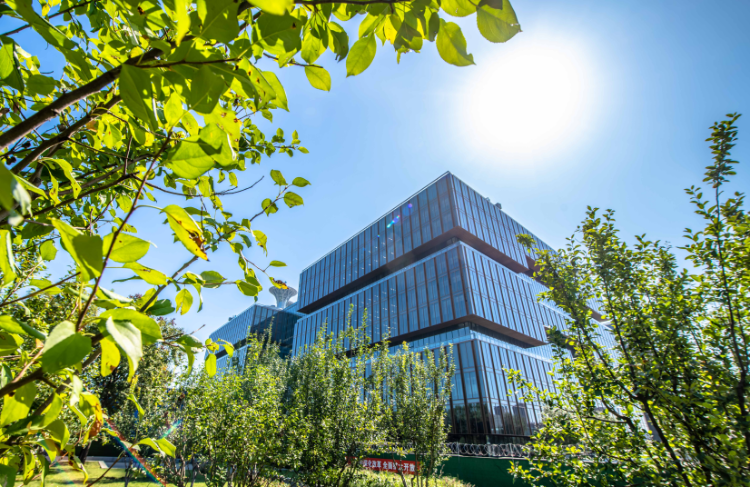 沙特宣布六旗奇迪亚城竣工