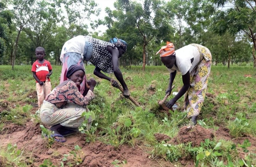 喀麦隆和联合国难民署致力于通过鼓励创业促进难民融入社会