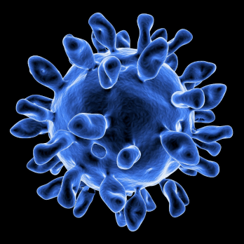 2025年南非口蹄疫疫情导致畜牧业出口收入损失约56亿兰特