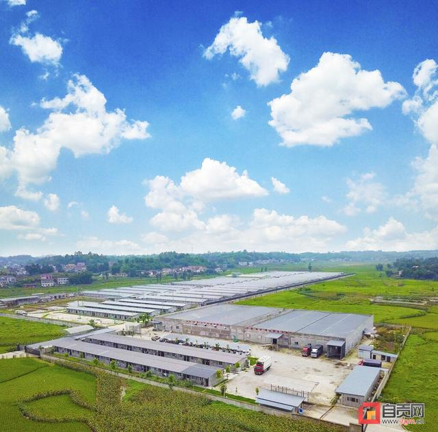 农业农村部批了 花园生物胆固醇成新饲料添加剂