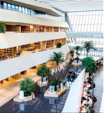 思特威:2025年净利润同比预增149%到162%