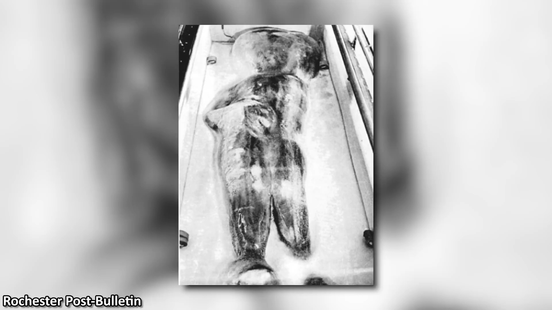 “花垣生物群”揭开显生宙第一次生物大灭绝面纱