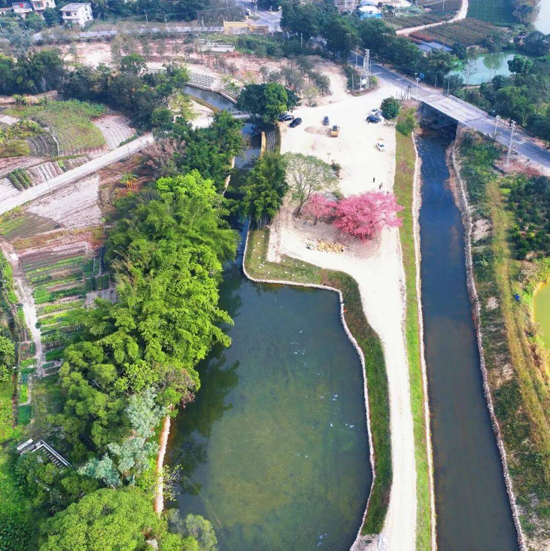 沪澳携手搭建绿色资本桥梁，离岸绿色债券直通车正式上线