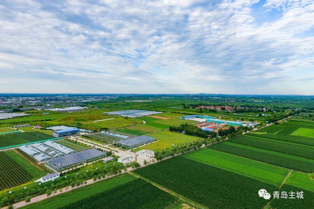 沪澳携手搭建绿色资本桥梁，离岸绿色债券直通车正式上线