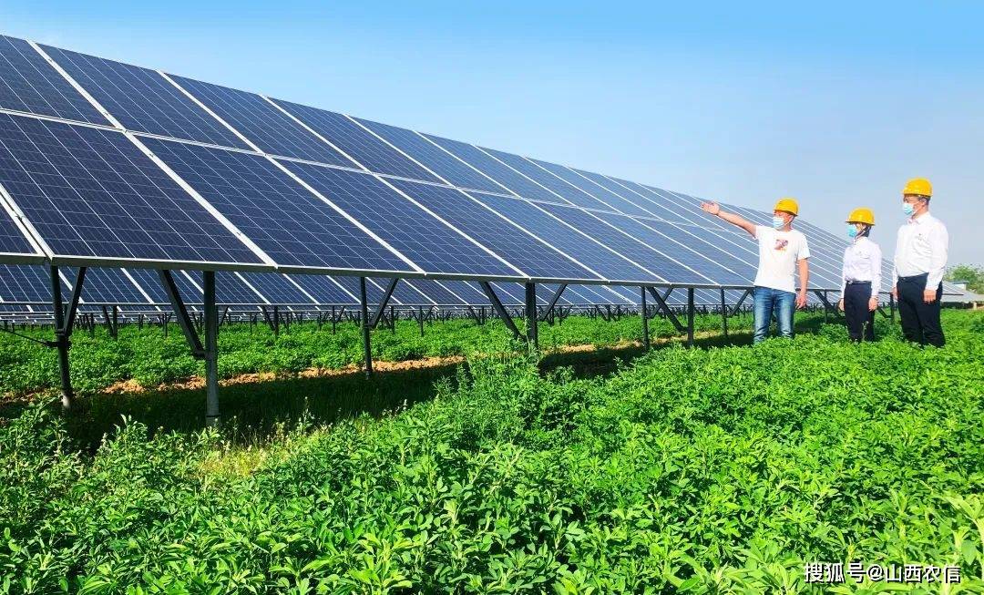 中欧《共同分类目录》贴标绿色债券存量规模近3500亿元 风力发电成为主要资金投向