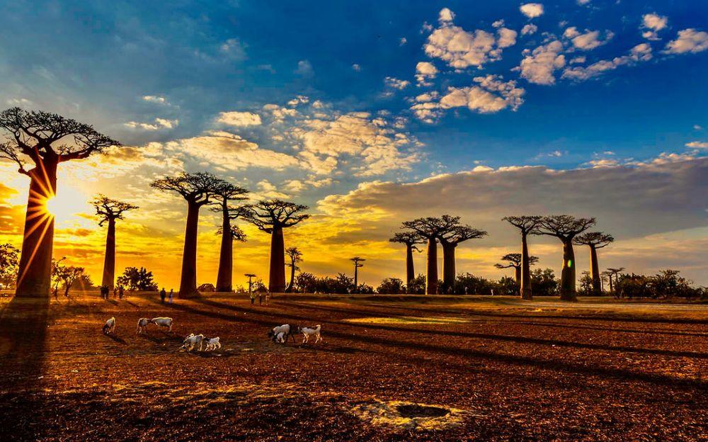 ORANGE电信公司同欧洲卫星公司合作为科特迪瓦全境提供上网服务