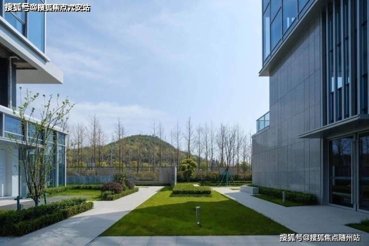 上海国投先导温治：以历史视野、产业洞察和企业家同理心，做真正的耐心资本丨创投贺新春