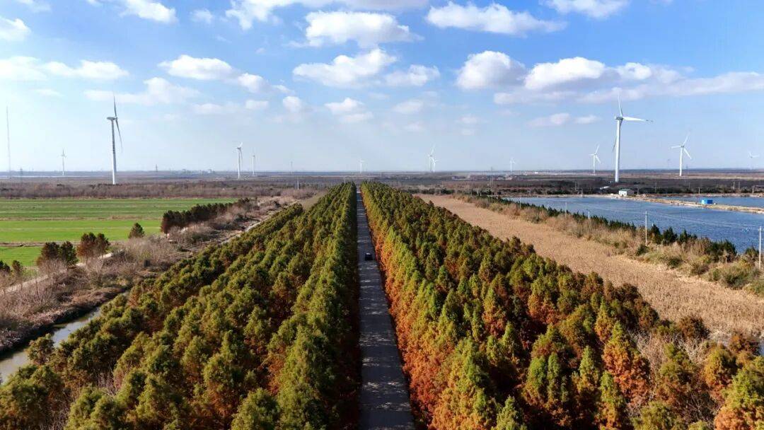 预见金马｜西南期货陈立：金融需锚定实体与政策主线