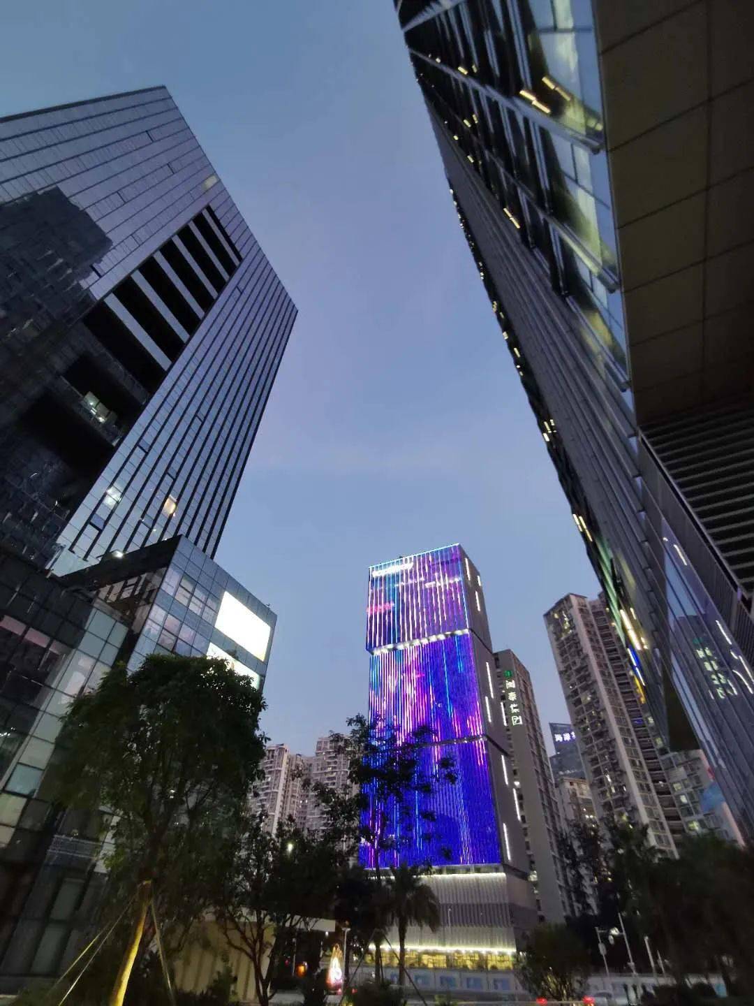 陕西省创业投资协会卢道真：坚守价值投资初心，与行业同频共振丨创投贺新春