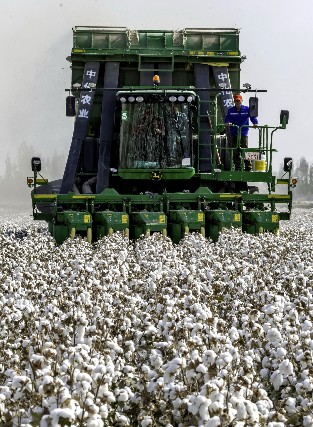 中国地震局迅即开展新疆巴音郭楞州尉犁县5.1级地震应急处置工作