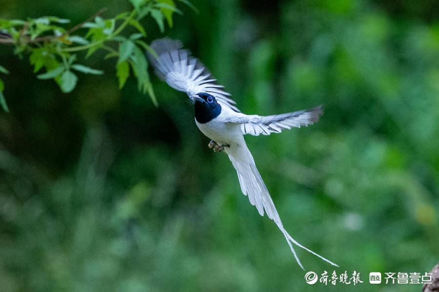 立方风控鸟·晚报（2月24日）