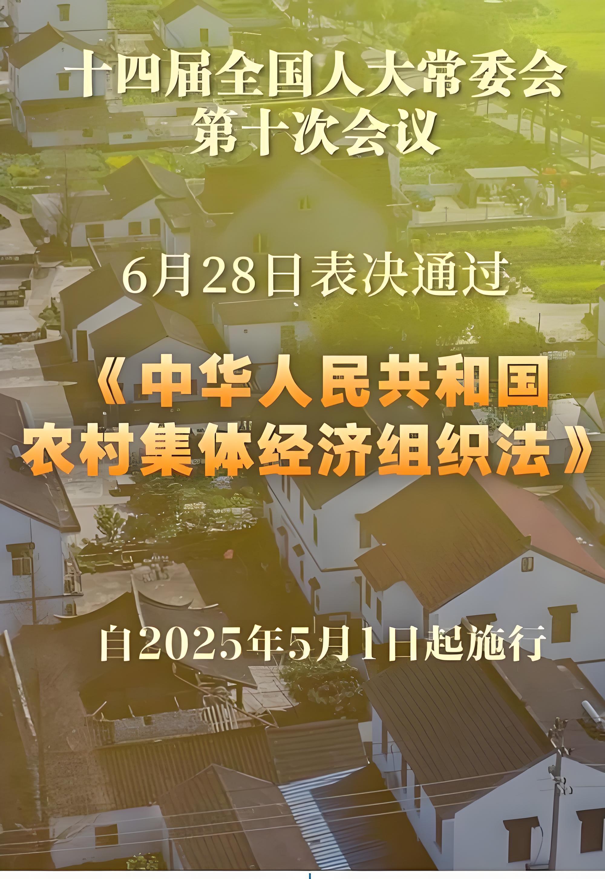 科技入乡赋能产业发展