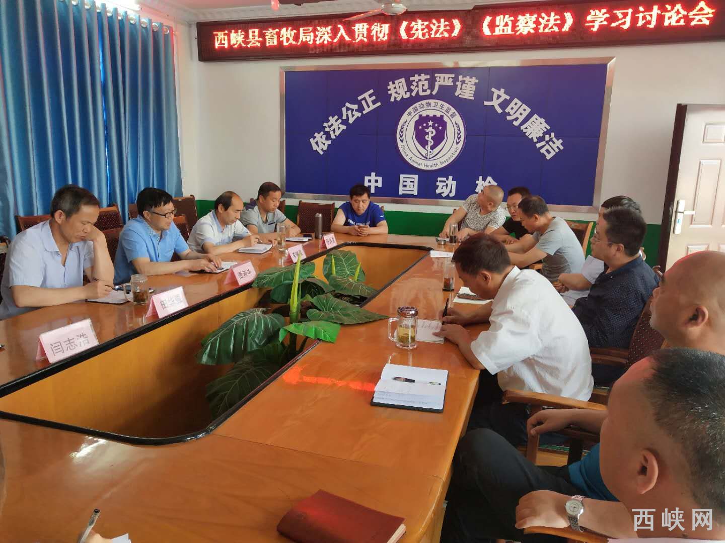 阿尔及利亚强化畜牧与饲料保障