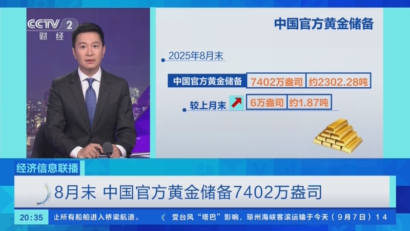 “全球最大黄金买家”提议动用储备筹资 支持国防扩张计划