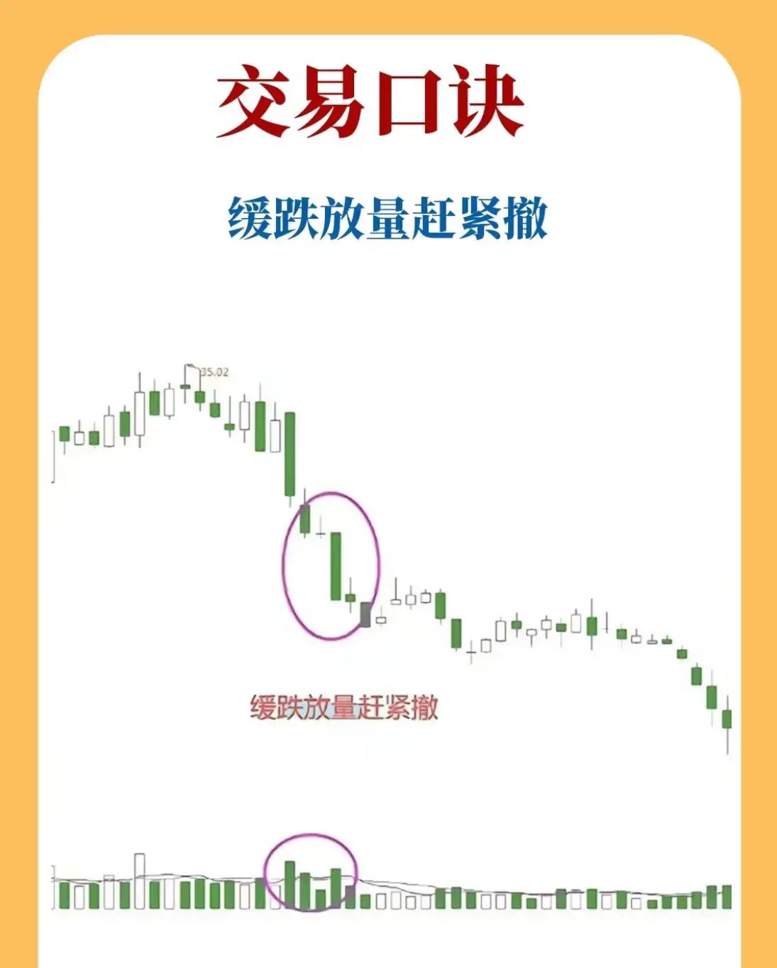 债市行情速递丨国债期货各主力合约收跌