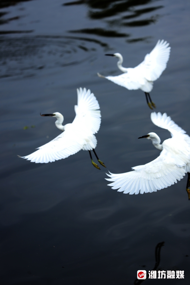 立方风控鸟·晚报（3月10日）