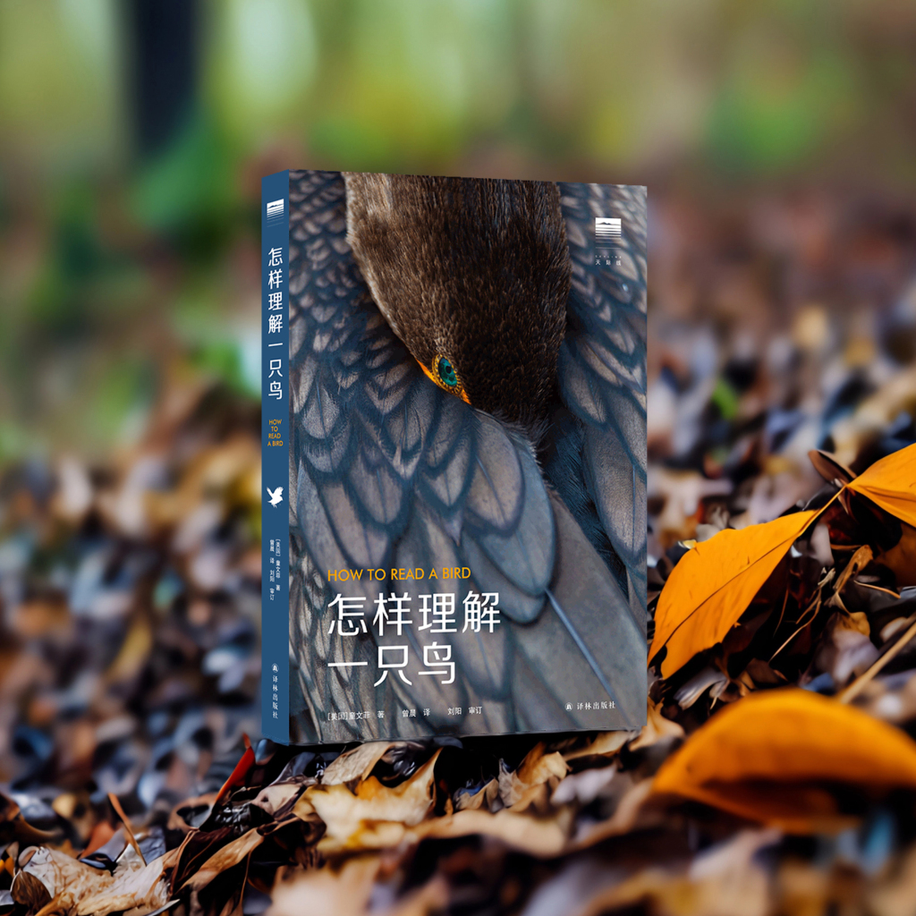 立方风控鸟·晚报(3月10日)