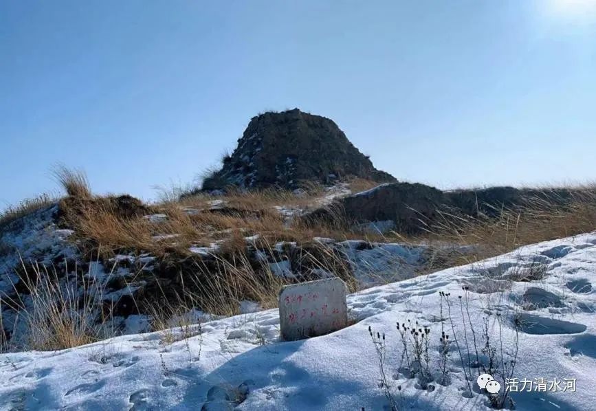 淳厚信睿:均衡布局五年领跑,在概率游戏中寻求确定性