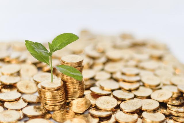 全国人大代表，中国进出口银行北京分行行长刘亚：发行专项债构建中小银行资本补充长效机制