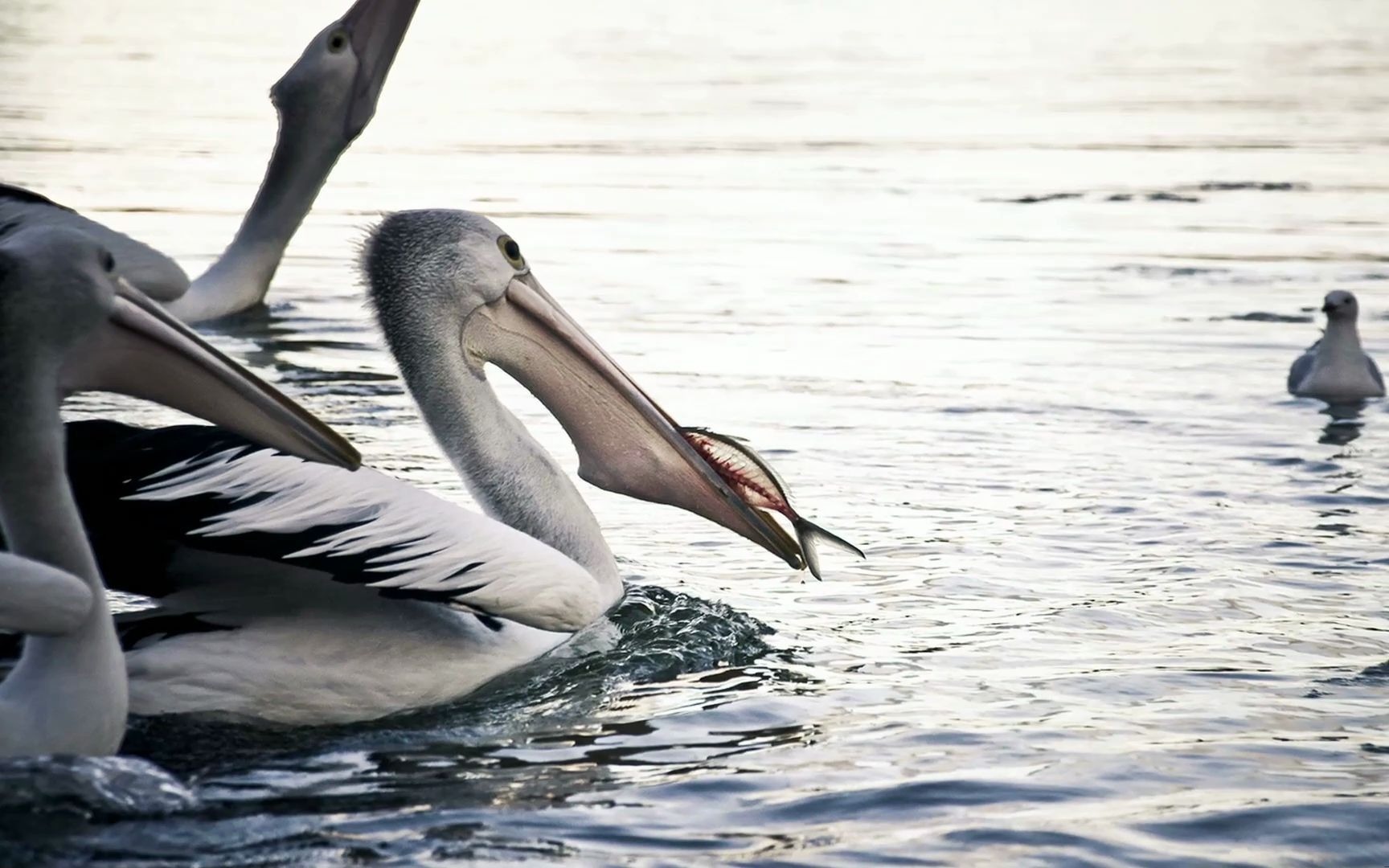 立方风控鸟·晚报（3月13日）