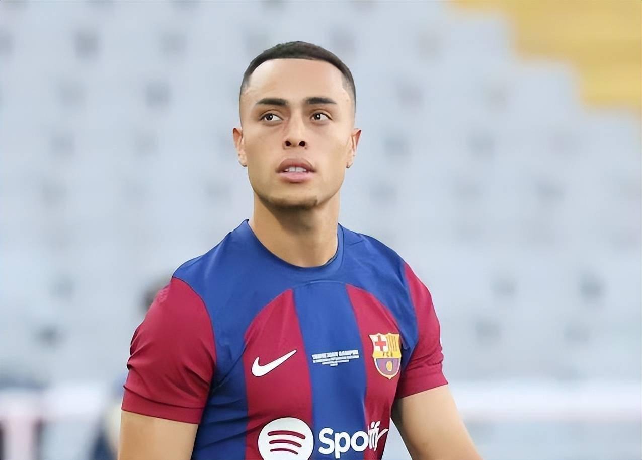 波黑塞族共和国积极履行单一欧元支付区准入条件