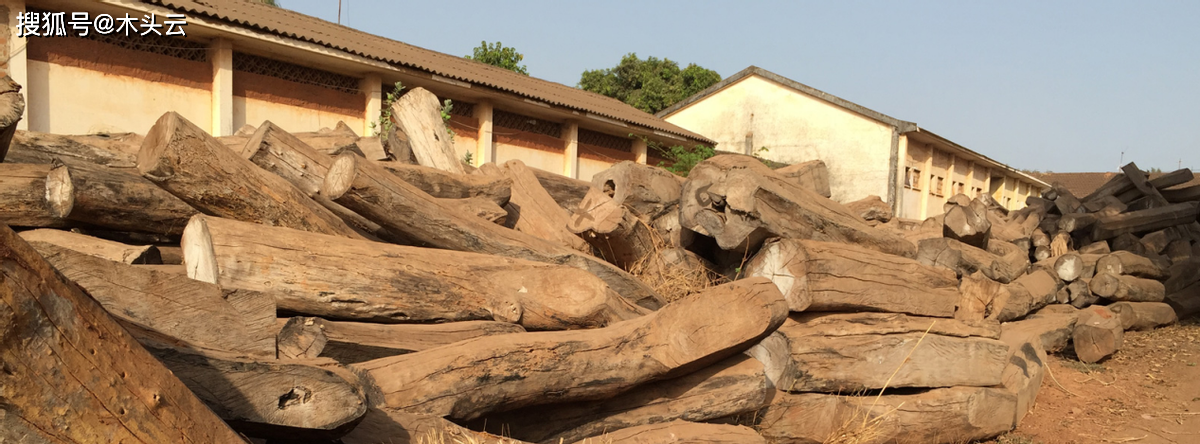 加纳推动林木产业升级