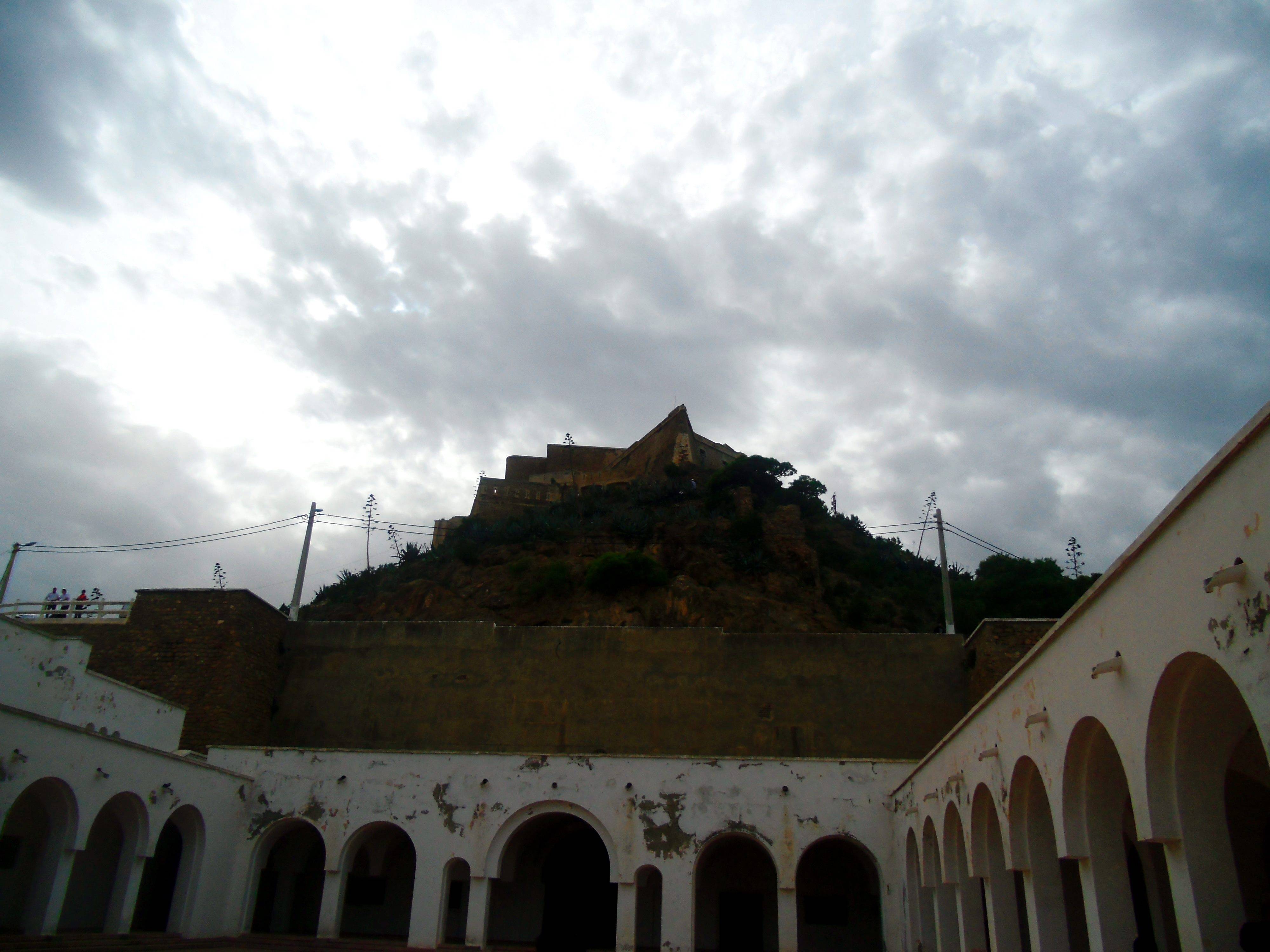 阿尔及利亚每年红肉产量缺口达5万吨