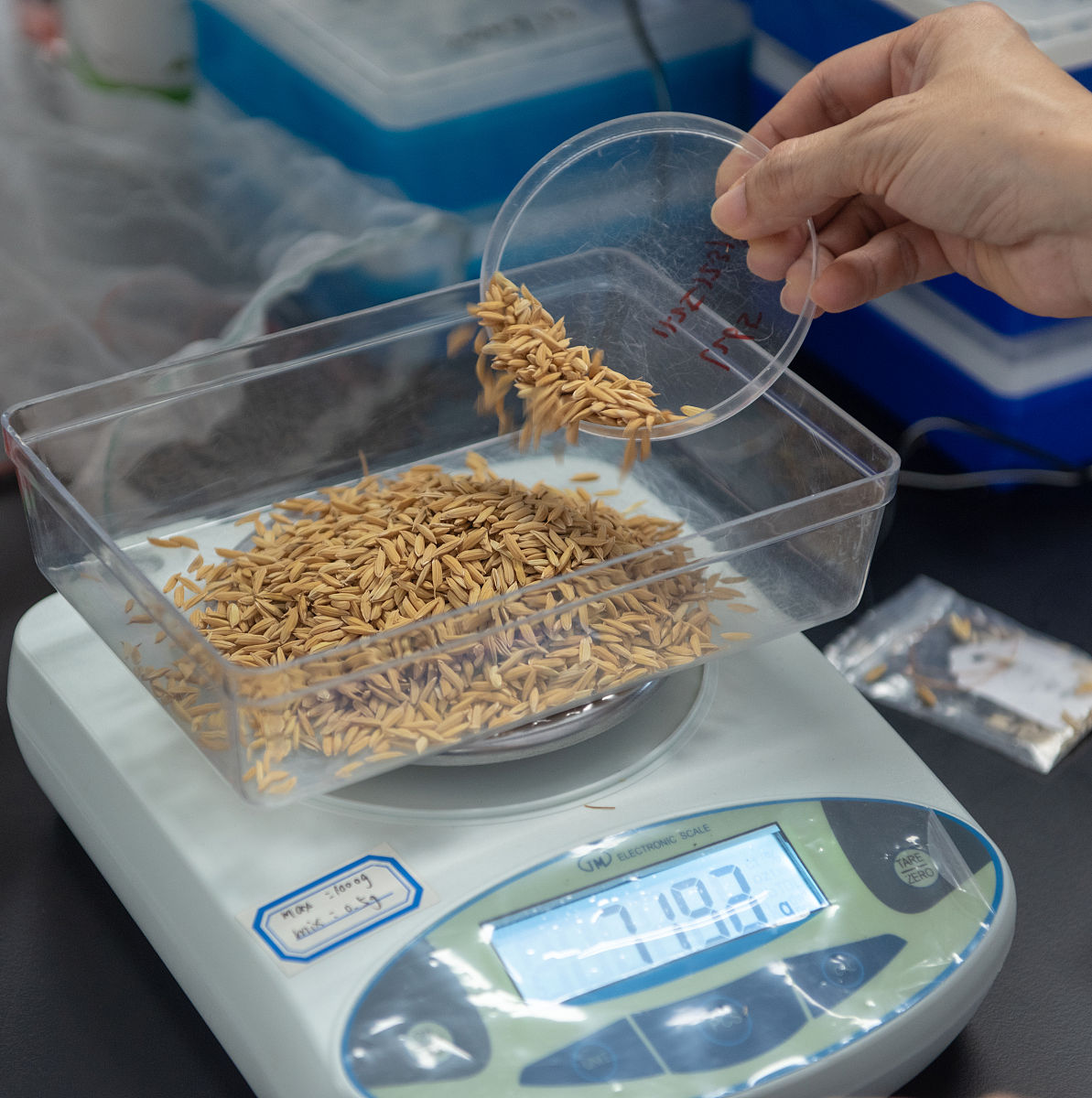 “科克萨拉”焦化厂关闭引发波黑多米诺骨牌效应