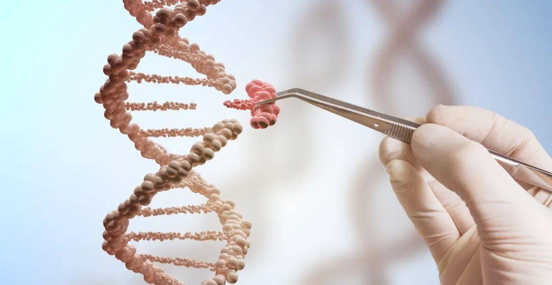 迪哲医药:产品Ⅲ期临床试验获阳性顶线结果