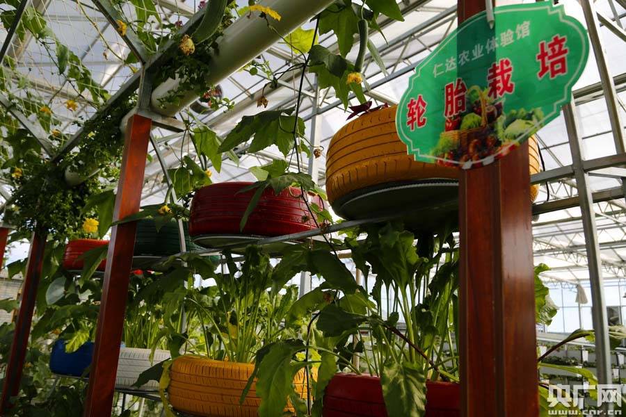 旅游与农业双重加持，东部经济走廊信心指数强势登顶