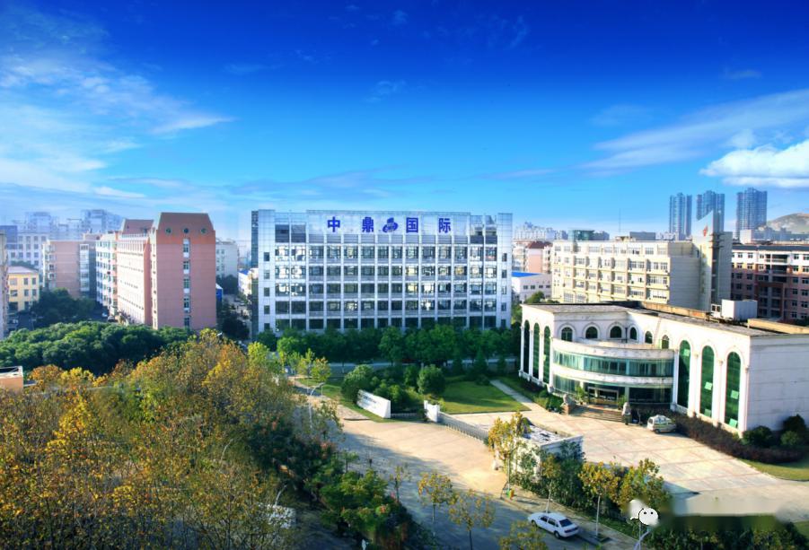 阿尔及利亚总统督导战略矿业项目投产