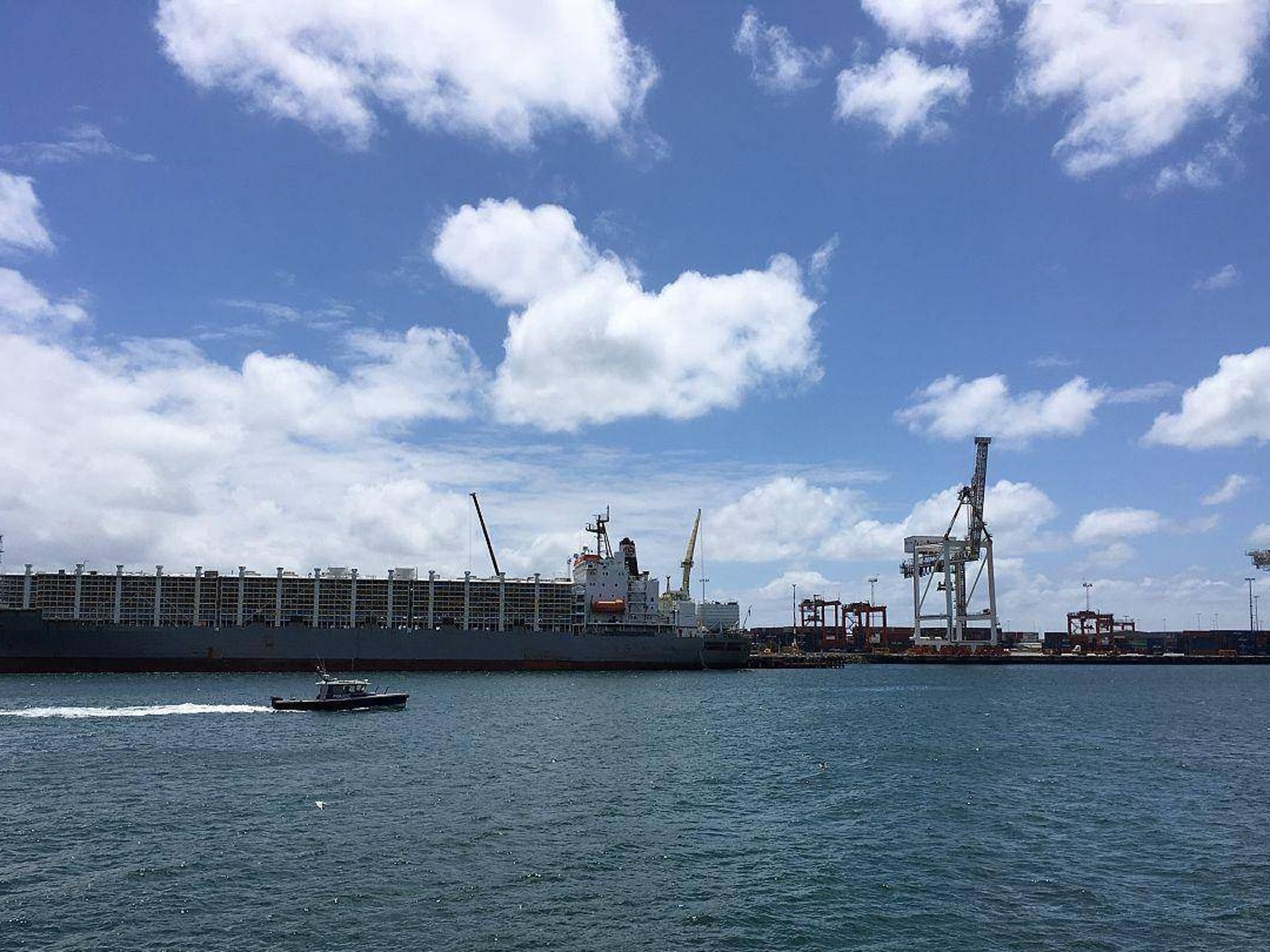 世贸组织警告称，霍尔木兹海峡封锁将冲击全球粮食安全