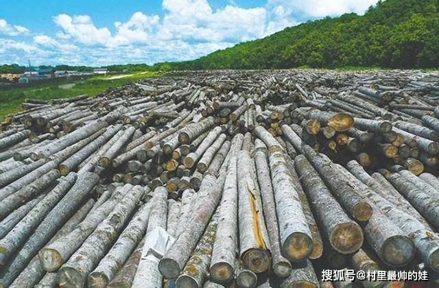 中东局势不影响新加坡进口但预料推高食物价格