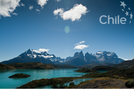 中国成为智利皮斯科酒最大出口市场